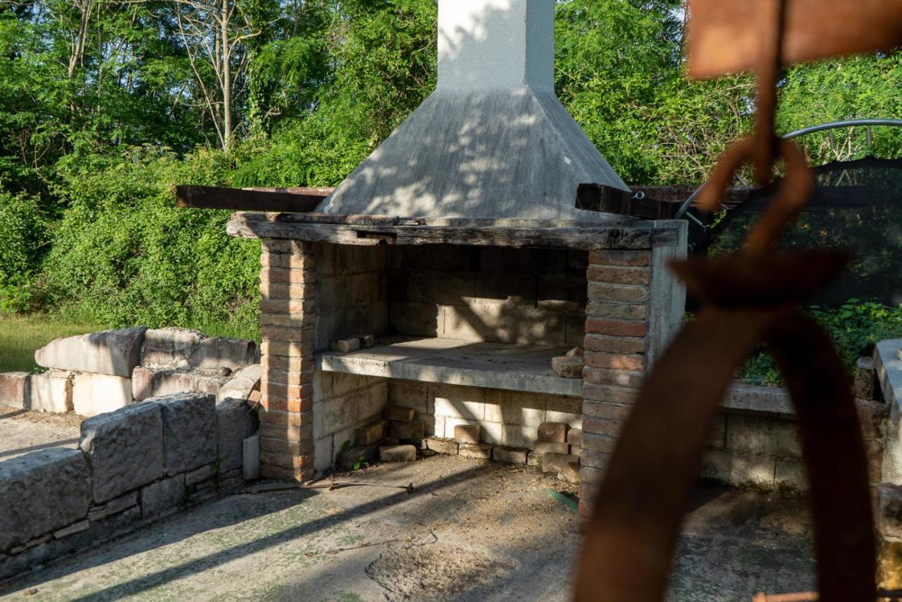 Julijud, Heated Pool, Jacuzzi, Dome And Sauna Brajkovici  外观 照片