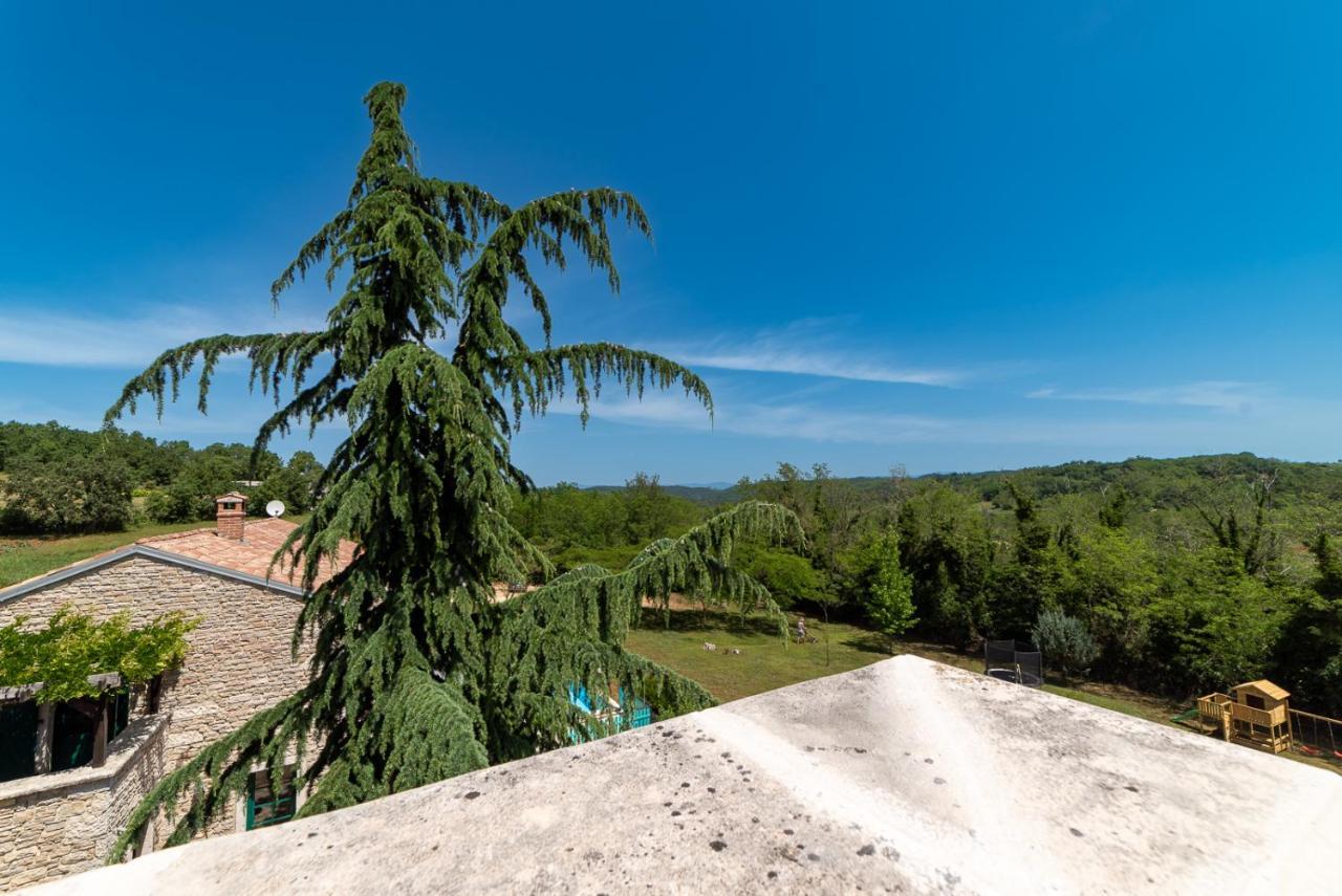 Julijud, Heated Pool, Jacuzzi, Dome And Sauna Brajkovici  外观 照片